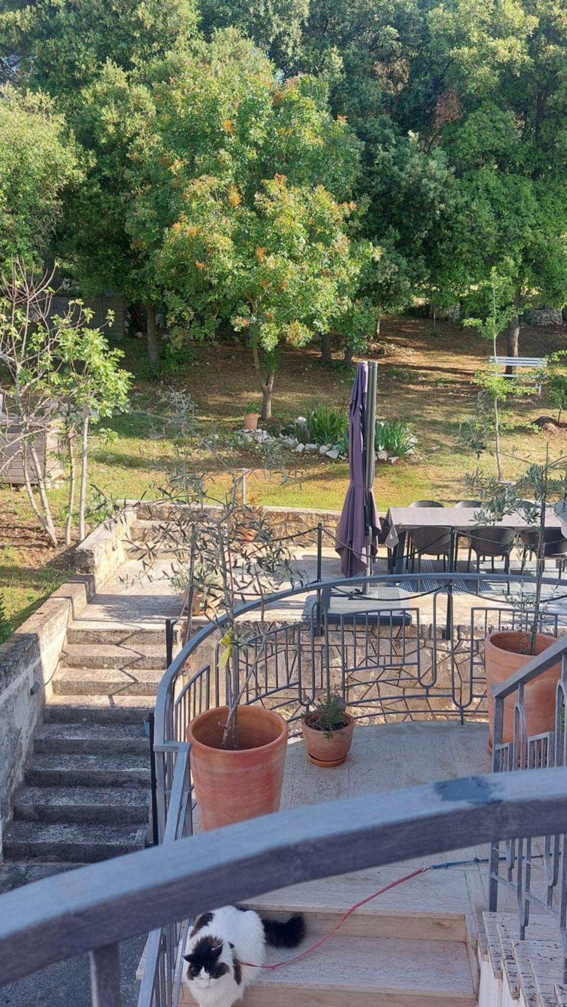 Marta Apartment Rovinj Exterior photo